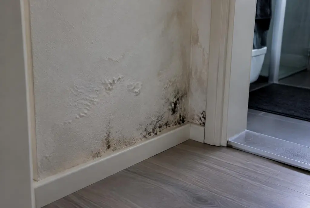 Lekdetectie Leusden – vochtplek met schimmel op een muur